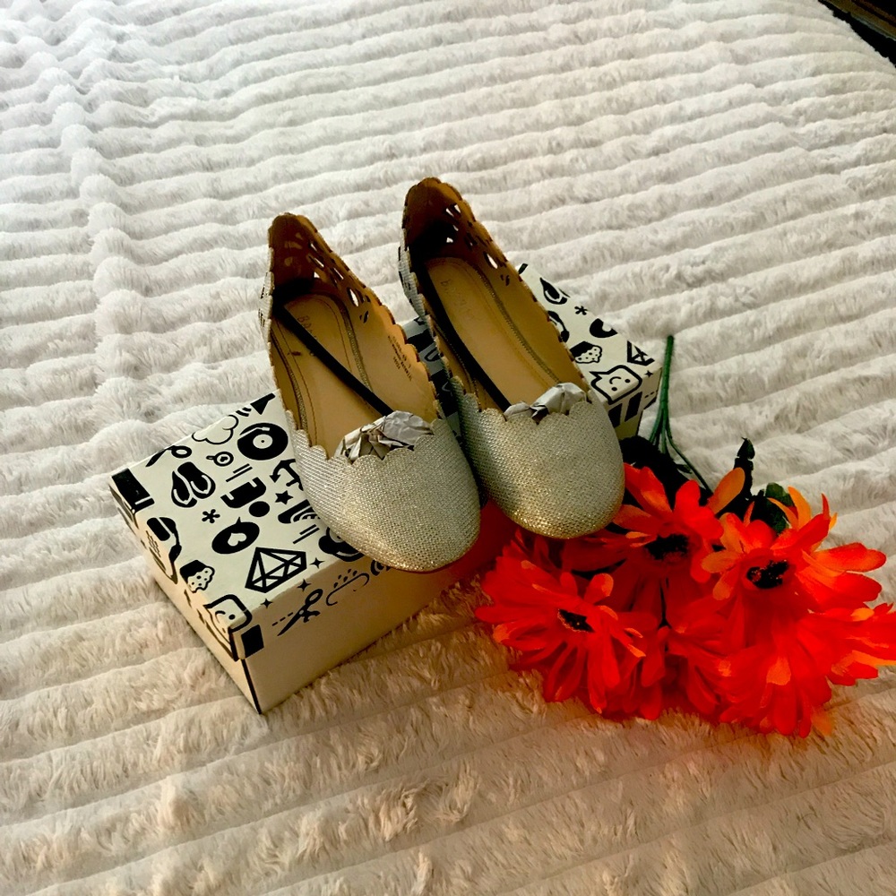 Brand New Silver Flats